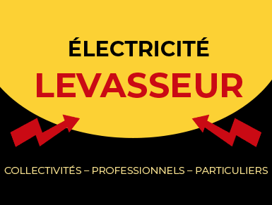 LOGO ÉLECTRICITÉ LEVASSEUR